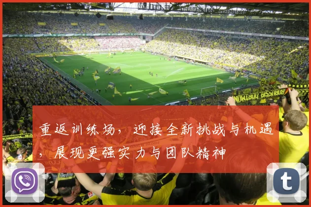 重返训练场，迎接全新挑战与机遇，展现更强实力与团队精神